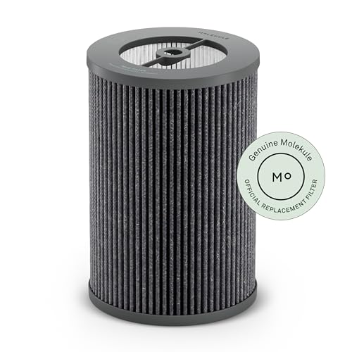 Molekule PECO-Filter für Air Pro Luftreiniger - Ersatzfilter, entfernt Viren, VOCs, Allergene, Bakterien, Schimmel, Rauch - Fortschrittliche Nanotechnologie, 6-Monats-Austausch