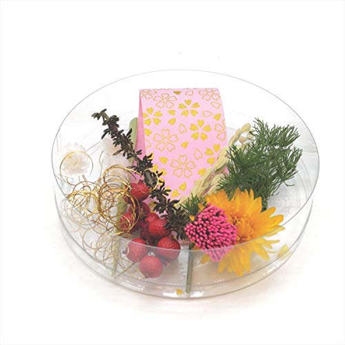 yʃJ[z n[oE ԍ A\[g Zbg nEB NX}X Xmas a  hCt[ vU[uht[ ԍރZbg lC lߍ킹  nhCh H  wAp[c ԑ W t[AW[X L