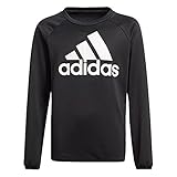 Feuchtigkeitsabsorbierend adidas Big Logo Sweatshirt Black/White 152