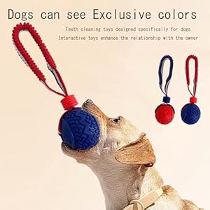 Pet ball dog toy ball toy dog ball with rope pet interactive toy rope dog ball toy throwing toy ball small and medium sized dogs tough rope durable dog ball tpr rubber ball ltq   cucciolini doodles