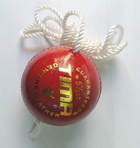 TIMA Leather Cricket Shot Practice Hanging Ball, String Cricket Ball and Knocking Cricket Ball with Rope (Multi-Color) (Pack of 1) 6 41Czl9ZssjL