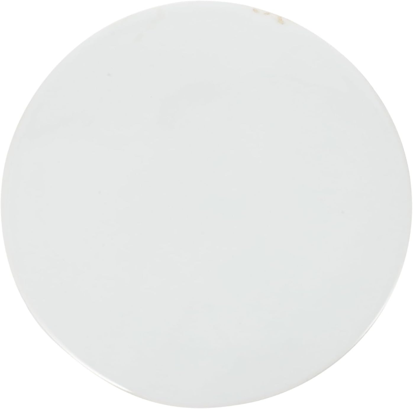 Gogogmee DIY Hand-Painted Ceramic Plate Smooth Surface Blank Art Chip for Creative Projects for Home Decor School and Crafts