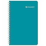 AT-A-GLANCE Weekly / Monthly Pocket Planner / Appointment Book, Evelina, Academic Year, July 2015-June 2016, 3.63 x 6.18 Inch Page Size (801-300A)