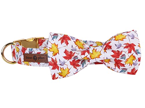 Lionet Paws Dog Collar with Bowtie, Autumn Bowtie for Dogs, Adjustable Comfortable Dog Collar Girl Boy, M, Neck 34-55cm - Image 4