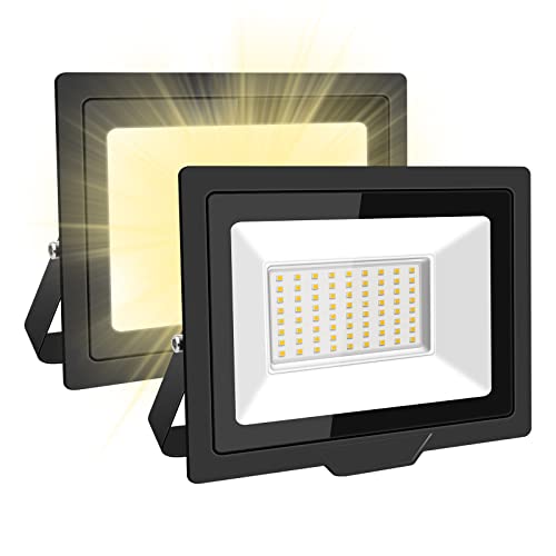 SKYWORLD 50W LED Flood Light Outdoor