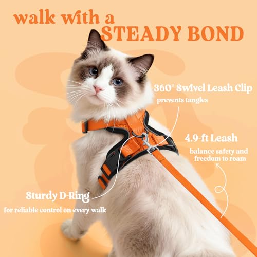 Image of rabbitgoo Cat Harness and Leash Set, Escape Proof Vest, Orange | Soft Breathable Mesh, Easy Adjustable Fit, Snap Buckles, Sturdy Clip, Reflective Strips, for Medium to Large Cats Walks, M
