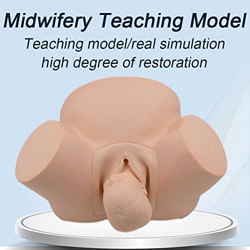Modèle d'accouchement avec détails anatomiques pour simulation obstétrique - 3