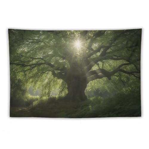 Tapisserie à la recherche d'arbres pour camoufler un mur blanc et terne