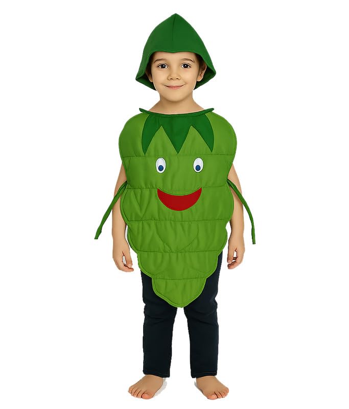 Image of FancyDressWale Fruit & Vegetable Fancy Dress Costume for Kids | Free Size 2-10 Years | School Fancy Dress, Stage Shows, Theme Parties