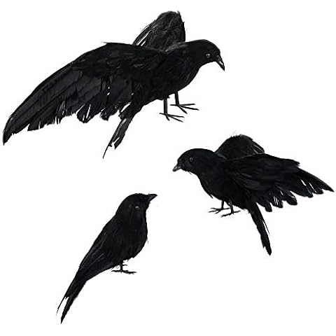 Zebery Halloween Realistic Handmade Crow Prop 6 Pack Black Feathered Crow Fly and Stand Crows Ravens For Outdoors and Indoors Crow Decoration Cover