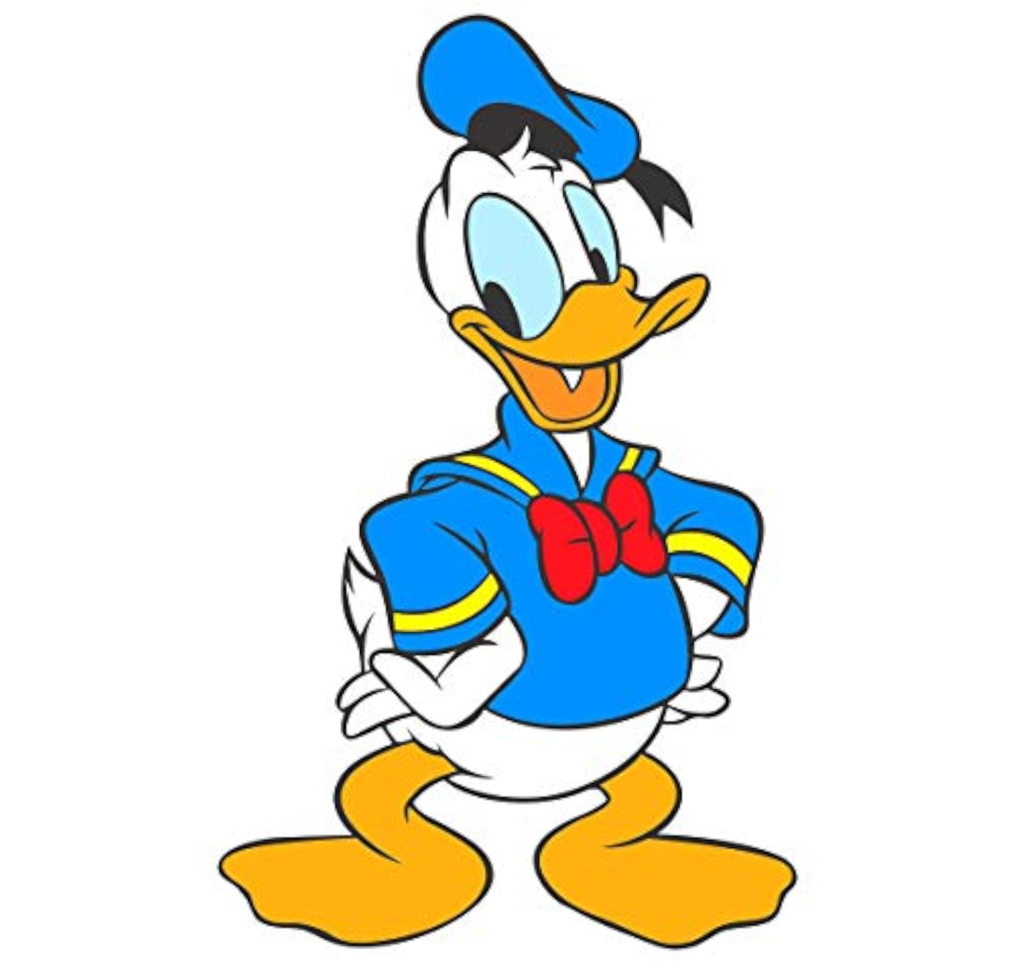 Cartoon Multi Large Vinyl Wallsticker for Home Decorations