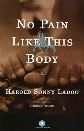 No Pain Like This Body book cover