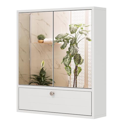 CASART Wall-Mounted Bathroom Mirror Cabinet, 2/3 Door Storage Cupboard with Shelves & Cushioning Hinges, Bath Organiser Storage for Bedroom, Living Room and Toilet (Double Door with Compartment)