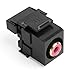Leviton 40735-RRE QuickPort RCA 110-Type, Red Barrel, Black