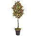 Nearly Natural 70? Croton Artificial Decorative Planter Silk Trees Green