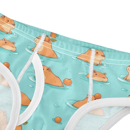 Boys' Underwear Cotton Little Boys Capybara Cartoon Briefs Soft Toddler Underwear 2T-8Y4