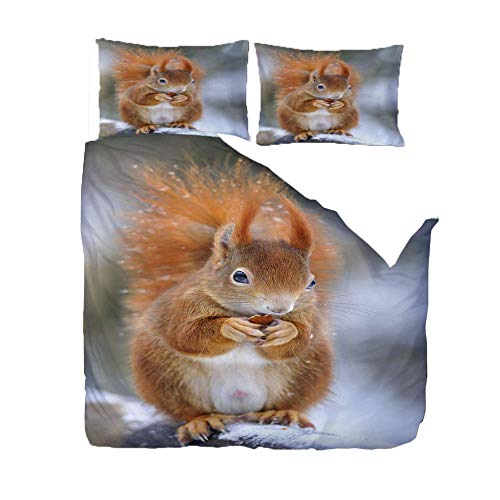 QDDRL Bettbezug Bettwäscheset Set 3 Teilig 240x220 cm Tierisches Braunes Eichhörnchen Drucken Bettwäsche-Set für Kinder Jungen Mädchen Bettbezug mit Reißverschluss mit Reißverschluss Cover