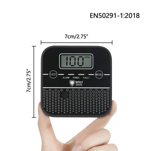 Rivelatore di monossido di carbonio 10 anni di