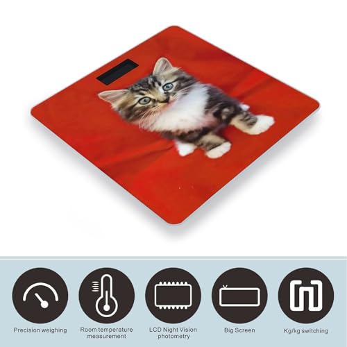 Báscula digital para peso corporal con pantalla LED miniatura 3