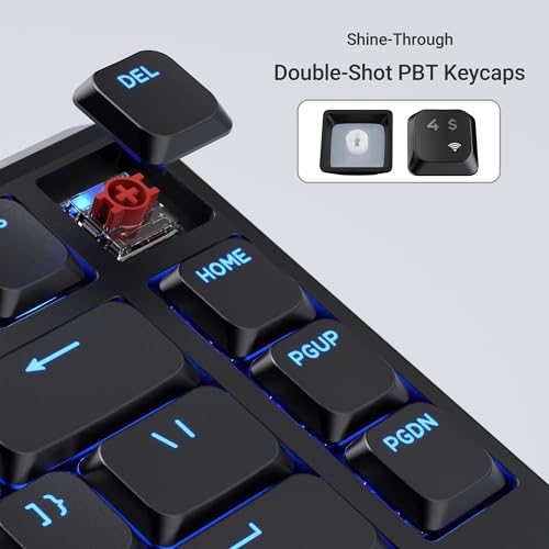 Image of Keychron KJ1 Low Profile Wireless Mechanical Keyboard - 75% Layout Red Switch, QMK RGB Backlit, 2.4G /Bluetooth /USB-C, Double-Shot PBT Keycaps, 2000mAh Battery, Mac /Win /Linux Compatible - Black