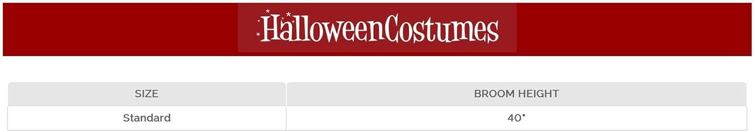 Fun Costumes Classic Wicked Witch Broom Costume Accessory Broom Prop, Plastic Handle, Twig Bristle, 40"