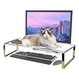 Keyboard Cat Protector - 20" Large Monitor Stand 2 in 1 Clear Acrylic Keyboard Cover Long Acrylic Monitor Stand Keyboard Protective Cover