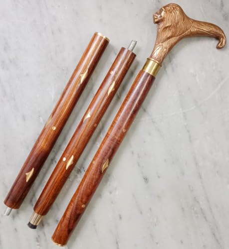 Canne en bois tête de lion en laiton, canne de marche de luxe sculptée main