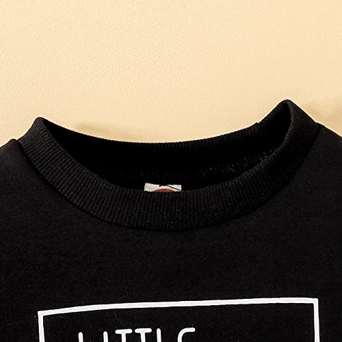 Baby Boys Fall 2 Piece Outfit Long Sleeve Graphic Trendy Pullover Sweatshirts Sweatpants Kids Baggy Kids Clothes Set3