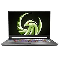 MSI Alpha 17 Gaming Laptop: 17.3&quot; 144Hz Display, AMD Ryzen 7-4800H, AMD RX5600M, 16GB RAM, 512GB NVMe SSD, Win10, Black (A4DEK-006)