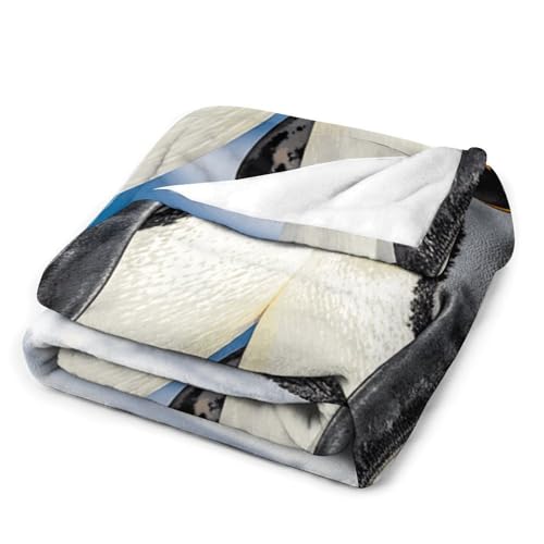 Plaid pingouin en flanelle pour instaurer une ambiance cocooning - 4