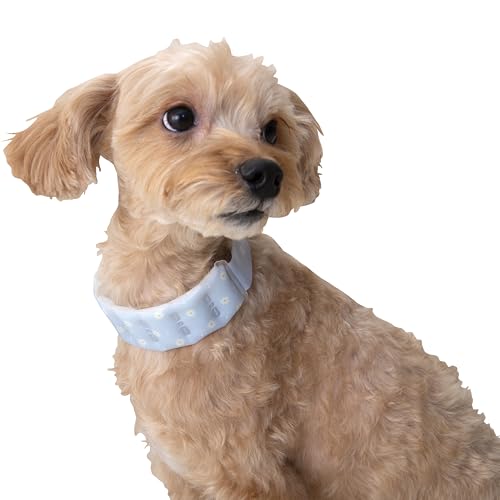 tassu �N�[�������O �N�[���l�b�N�o���h �y�b�g�p ���p �L���p �l�b�N�N�[���[ �Ђ��� ��28�����R���� ��p�����O �J��Ԃ��g���� �y�� ���I���ɂ��� ���ԕ� S �u���[ 169-6891A2