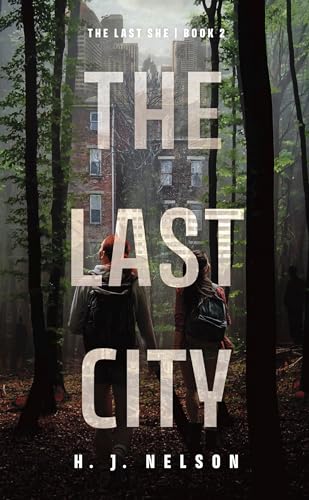 The Last City view 2