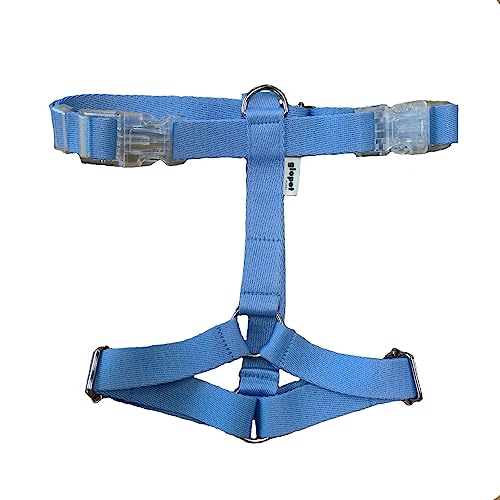 GLOPET \tgH^n[lX  n[lX  Ȃ ɂ SȂ U (M, u[)