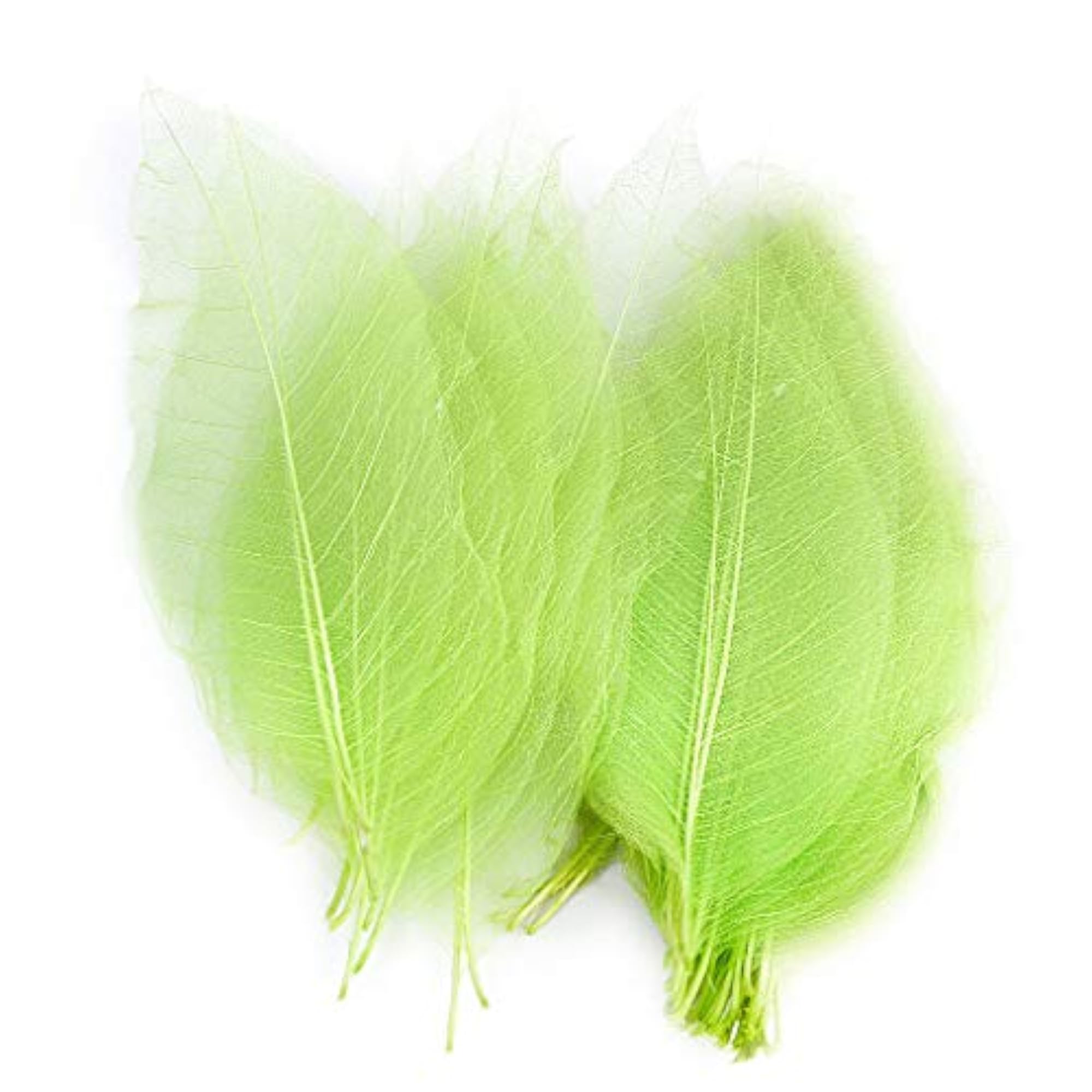 50pcs Green Skeleton Leaves for Scrapbooking DIY Crafts