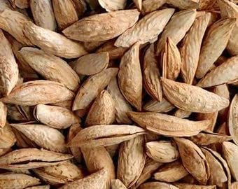 Image of Nurito Premium Almonds (Sitarbai Almonds, 500g)