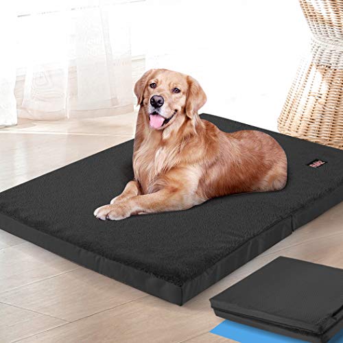 pets kong dog bed