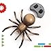 Discovery™ RC Tarantula Spider – Remote Control Toy Spider with Realistic Movement, Red LED Eyes & Wriggling Legs | Prank Gift for Boys Girls & Bug Lovers| Fun Electronic Animal Toy for Kids Ages 8+