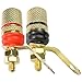 CESS Gold-Plated Binding Post - Red & Black, Knurled Anti-Slip Knob, 10-Pack, Solder or Screw Wire Connection, Panel/PCB Mount for Speakers, Power Supply, Signal Testing