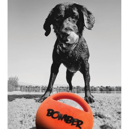 Zeus Bomber Durafoam Spielball für Hunde, 11,5cm
