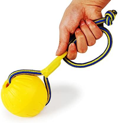 TQY Fun Ball on a Rope Dog Toy