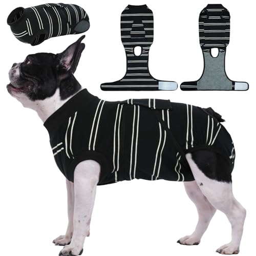 Barrel Chested Dog The 15 best products compared Wild Explained