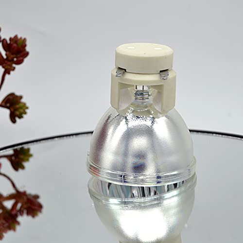 Lampe BL-FP230F SAAKO pour corriger l'image sombre de votre TW610STi