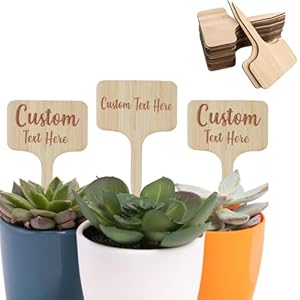 30-100pcs Personalized T-Type Bamboo Plant Tags,Custom Laser Engraved Bamboo Plant Stake,Custom Succulent Tag for Bridal Shower,Wedding,Plant Favor and More (T-Type 2.4×3.9inch)