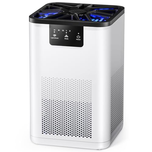 Air Purifier for Bedroom True H13 HEPA Air Purifier with 20dB Sleep Mode for Bacteria Virus Smoke Pollen Dander Hair Smell Use in Bedroom Office and Home