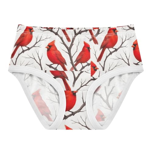 Joisal Pattern Toddler Underwear Floral 2t Cotton Panties Little Girl Bright Red Birds White Undies Kids Briefs