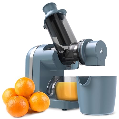 Greater Goods Cold Press Juicer, Powerful Slow Masticating Juice Extractor with Quiet Motor for Fruits and Vegetables, High Juice Yield, Easy to Clean, Stone Blue