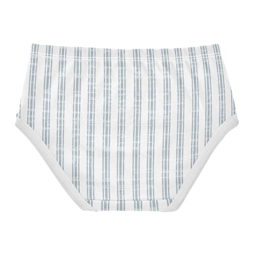 Panties Underwear Soft Touch Breathable Toddler Underwear for Toddler in Sizes 2T,3T, 4T, 5T, 6Y and 8Y2