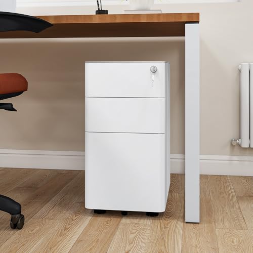 Armoire de rangement sécurisée en métal pour protéger vos documents - 3