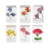 PTGMH 6 Pcs Pressed Flowers Paperweights Real Dried Flowers Wheat Specimens Resin Paperweights Home