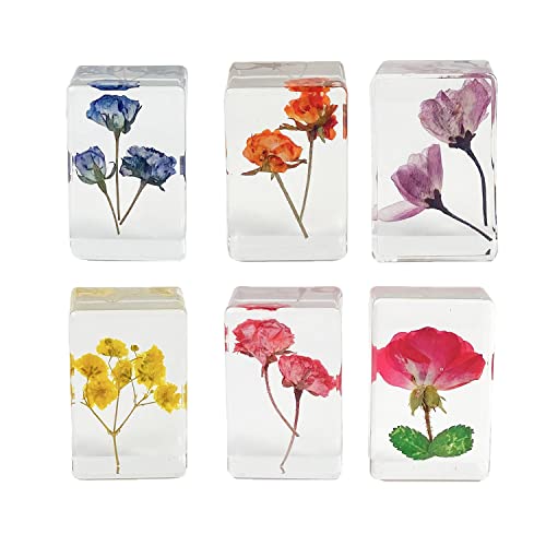 Ptgmh 6 Pcs Pressed Flowers Paperweights Real Dried Flowers Wheat Specimens Resin Paperweights Home & Office Desktop Decor Educational Kit (Colorful B) #TOP7